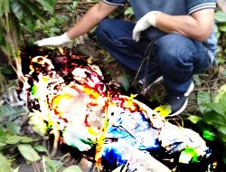 Mr X ditemukan membusuk diperladangan sei bingai