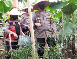 Dukung ketahanan pangan nasional saat pandemi, AIPTU ESRA KRISTIAN SEMBIRING manfaatkan lahan kosong untuk berkebun