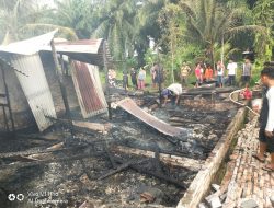 Rumah Ditinggal Kosong Pemiliknya, Ludes Dilalap Sijago Merah