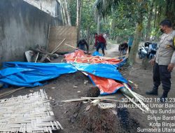 Jadi Sarang Narkoba, Gubuk di Limau Sundai-Binjai Dibongkar Tim Gabungan