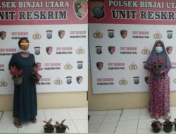 Terekam Cctv Terduga Pelaku Pencurian Diamankan Unit Reskrim Polsek Binjai Utara