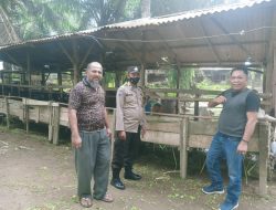 Sambangi Pertenakan ||Bhabinkamtibmas Kelurahan Cengkeh Turi Aiptu Suyatno Beri Imbauan Cegah Penyakit PMK