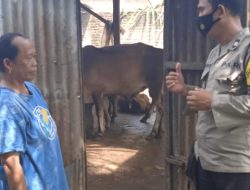 Sambangi Pertenakan ||Bhabinkamtibmas Kelurahan Tanah seribu Aiptu Adong Munthe beri Imbauan Cegah Penyakit Pmk