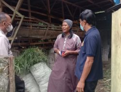 UNIT INTELKAM POLSEK BINJAI KOTA MONITORING CEK PERTENAKAN TERKAIT PENYAKIT PMK