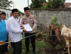 KAPOLDA SUMUT SUMBANGKAN 1 EKOR SAPI KEPADA MUI BINJAI