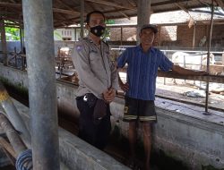 Bhabinkamtibmas Kelurahan Tanah seribu Laksanakan Giat Operasi Yustisi