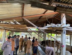 Sukseskan Vaksinasi PMK Hewan Ternak, Sat Binmas Polres Binjai Lakukan Pendampingan