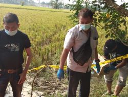 POLSEK BINJAI UTARA POLRES BINJAI TANGGAPI LAPORAN WARGA TENTANG TEMUAN TULANG BELULANG TENGKORAK MANUSIA
