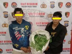 1 KILO GANJA DAN 2 TERDUGA DIAMANKAN POLSEK BINJAI TIMUR POLRES BINJAI