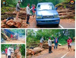 BHABINKAMTIBMAS DESA TELAGAH POLSEK SEI BINGAI POLRES BINJAI  BANTU WARGA EVAKUASI POHON TUMBANG