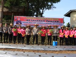POLRES BINJAI MANFAATKAN LAHAN TIDUR DENGAN MENANAM CABAI DAN JAGUNG