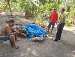 BhabinKamtibmas Aiptu M.Nurdin Pantau Perkembangan situasi Kamtibmas di Desa Padang Brahrang
