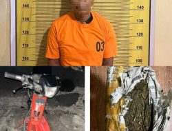 Tak Jera, Residivis Narkotika Kembali Diciduk Polisi