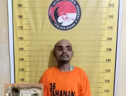Residivis ditangkap Polres Binjai saat edarkan daun ganja kering