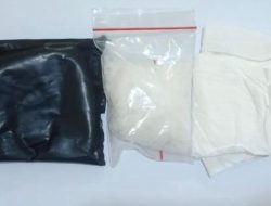 Bergumul Dengan Petugas, Dua Bandar Narkoba Digelandang Ke Polres Binjai