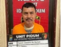 Aniaya IRT, Pelaku Langsung Di Gelandang Polres Binjai