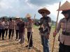 Wujudkan Swasembada Jagung Nasional Polres Binjai Turut Serta Penanaman Jagung Serentak Kuartal I Tahun 2026