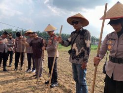 Wujudkan Swasembada Jagung Nasional Polres Binjai Turut Serta Penanaman Jagung Serentak Kuartal I Tahun 2026