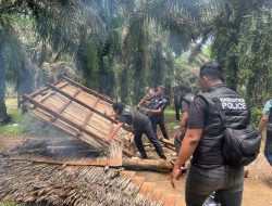 Polres Binjai Kembali Grebek Dan Musnahkan Barak Narkoba Di Kecamatan Selesai