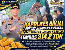 Kapolres Binjai Perkuat Ketahanan Pangan, Total Serapan Jagung ke Bulog Tembus 314,2 Ton